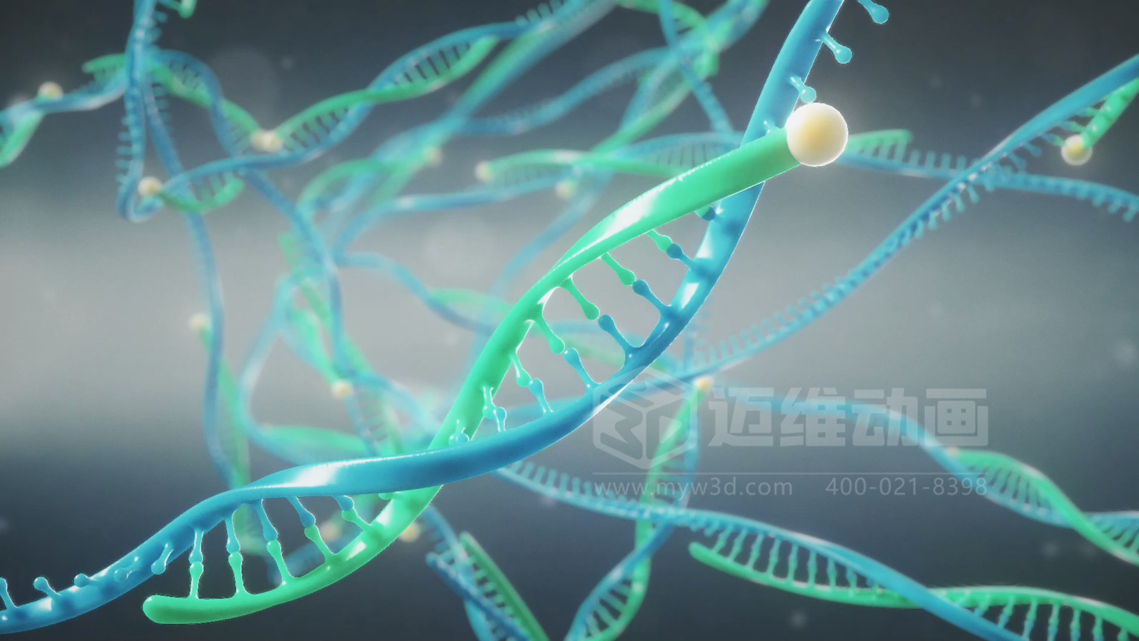 生物科技成果難落地？三維動(dòng)畫來(lái)破局！讓技術(shù)轉(zhuǎn)化效率飆升(圖2)